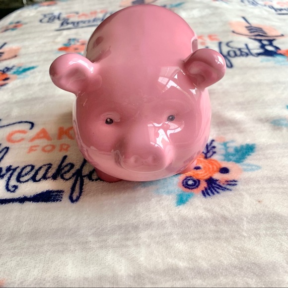 1 LEFT! 🐷 Farmhouse Pig Kitchen Sponge Holder 🐷 - Picture 6 of 7